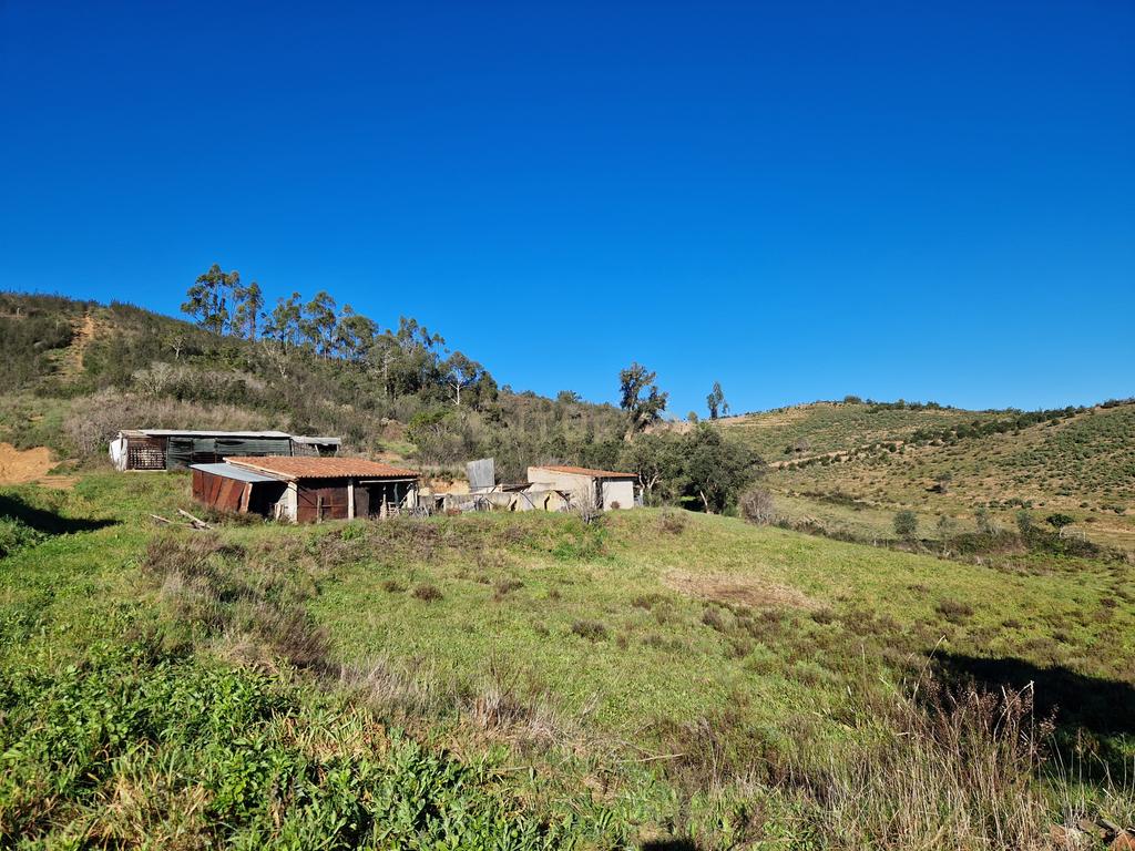 Ruína com 4 Hectares de terreno - S. Teotónio (Odemira) - Image 6