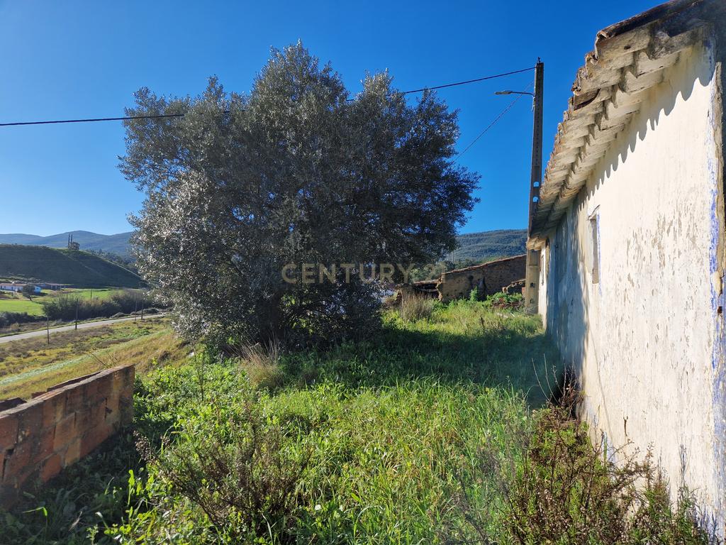 Ruína com 4 Hectares de terreno - S. Teotónio (Odemira) - Image 3