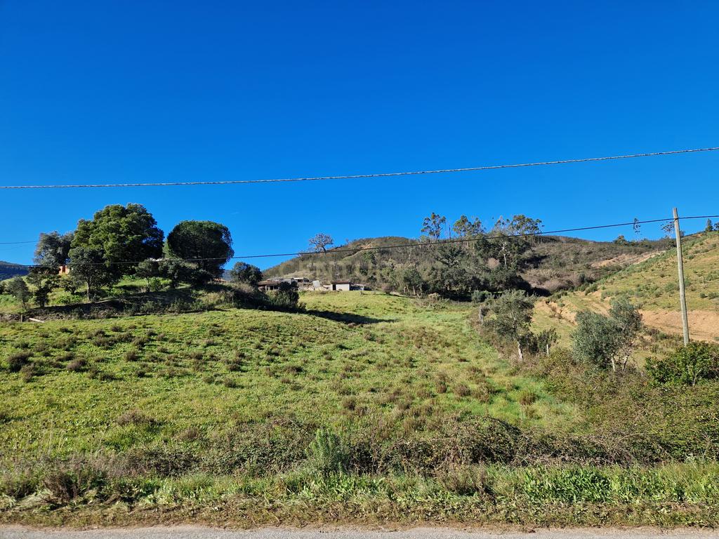 Ruína com 4 Hectares de terreno - S. Teotónio (Odemira) - Image 8