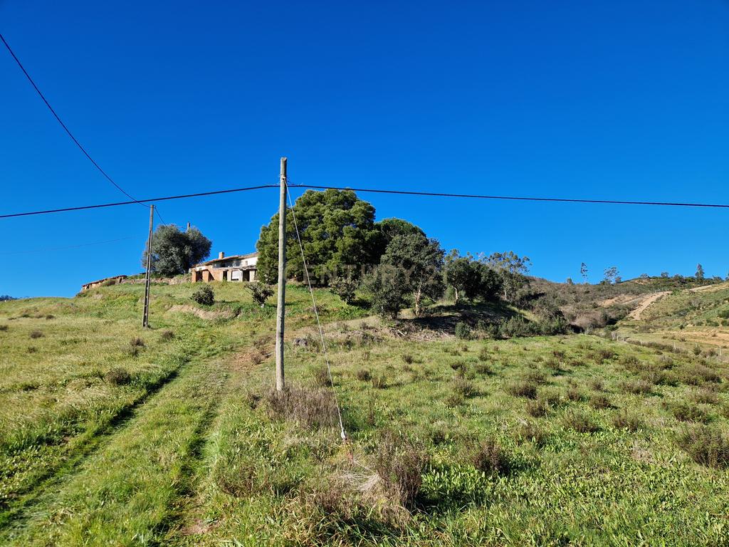 Ruína com 4 Hectares de terreno - S. Teotónio (Odemira) - Image 9