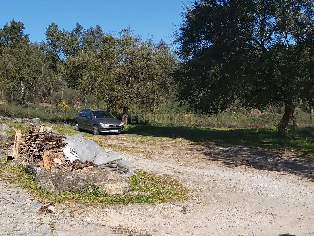 Terreno: "Bouça de Manteiros", ou "das Fontainhas" - Image 1