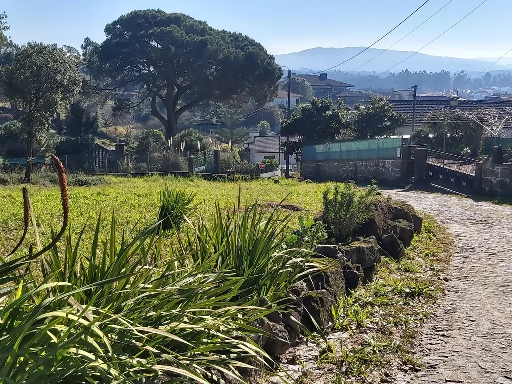 Terreno: "Bouça de Manteiros", ou "das Fontainhas" - Image 3