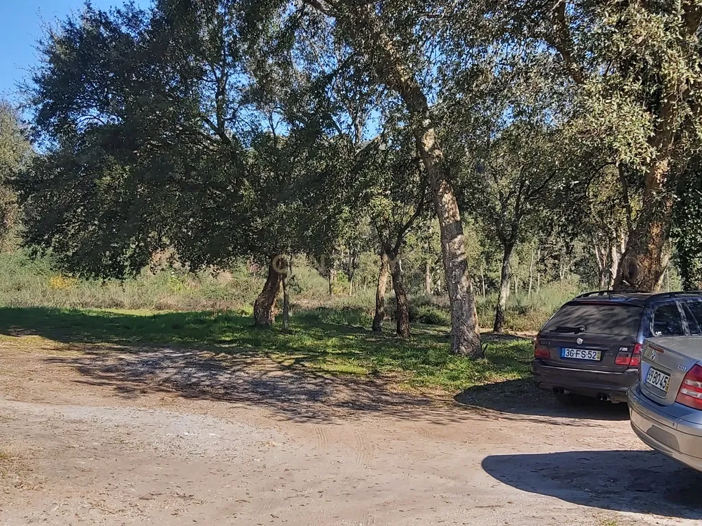Terreno: "Bouça de Manteiros", ou "das Fontainhas" - Image 4