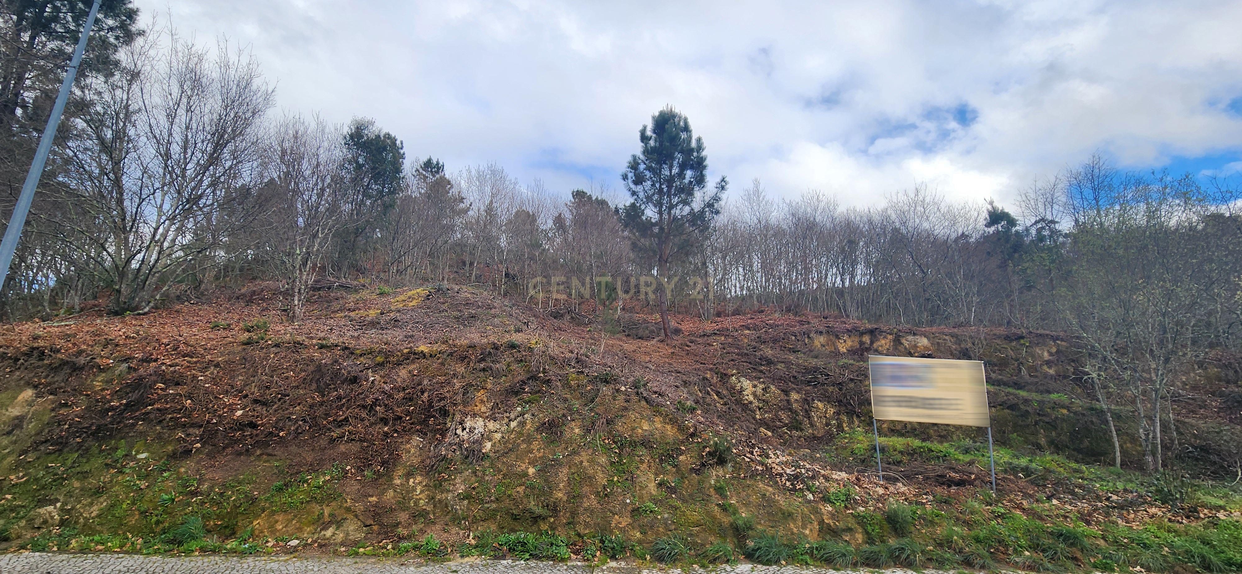 Terreno Urbano em São Pedro do Sul - Image 5