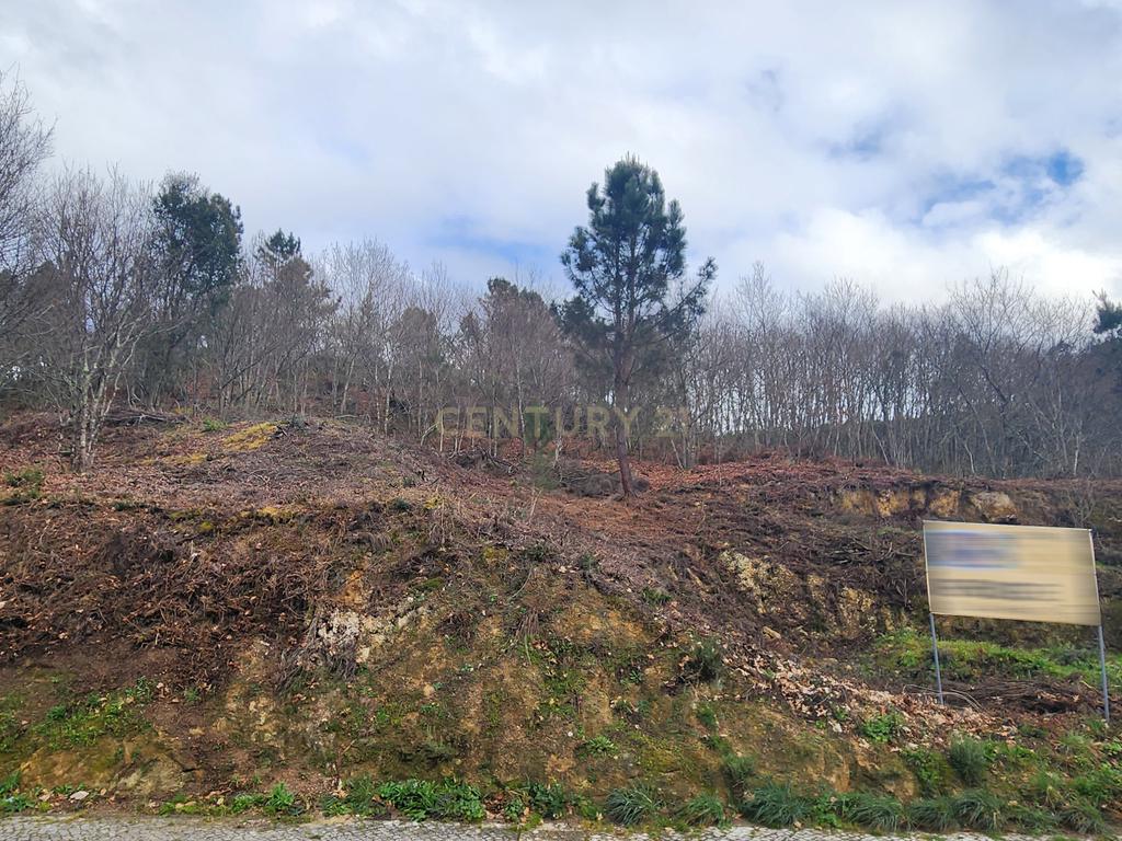 Terreno Urbano em São Pedro do Sul - Image 5