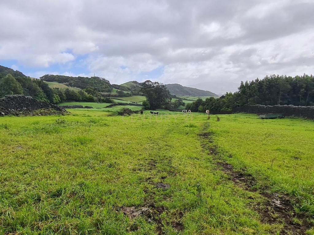 Terreno Urbanizável em Estrada da Ribeira Grande - Image 10