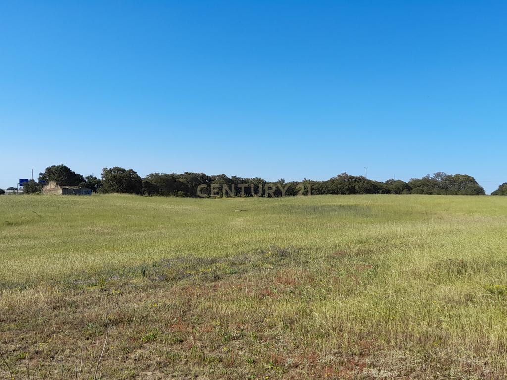 Terreno urbano com possibilidade de construção em Vale da Resina, freguesia de Alcochete - Image 3