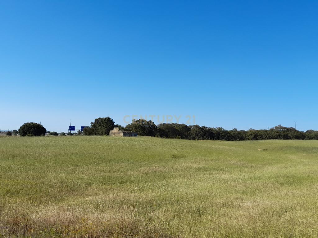 Terreno urbano com possibilidade de construção em Vale da Resina, freguesia de Alcochete - Image 10