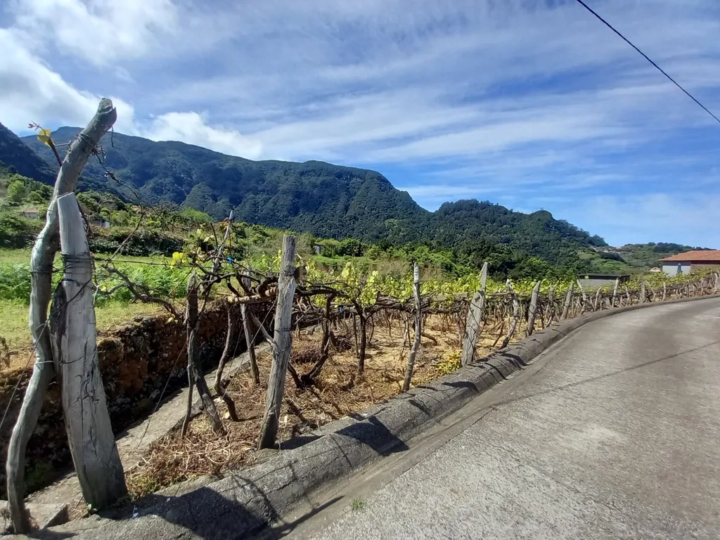 Terreno Rústico com Potencial de Construção, Localizado em Boaventura – São Vicente - Image 3