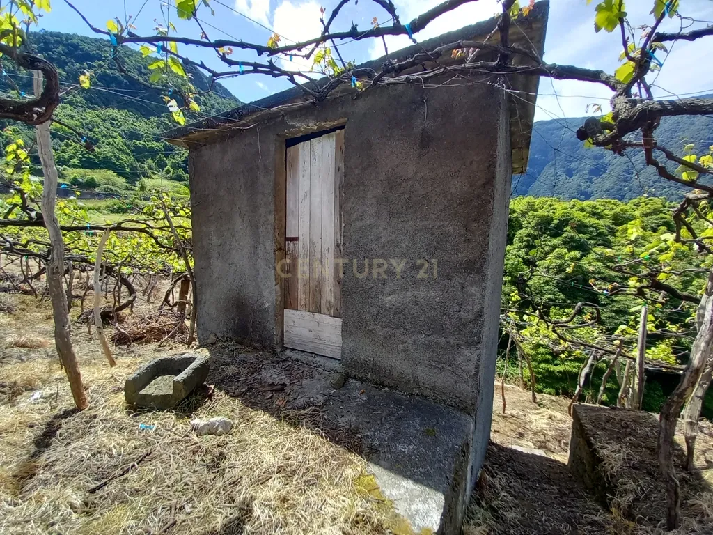 Terreno Rústico com Potencial de Construção, Localizado em Boaventura – São Vicente - Image 10