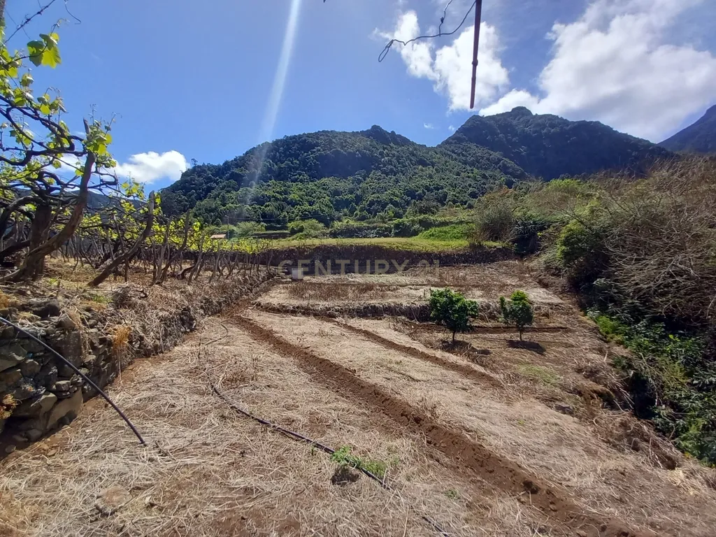 Terreno Rústico com Potencial de Construção, Localizado em Boaventura – São Vicente - Image 12