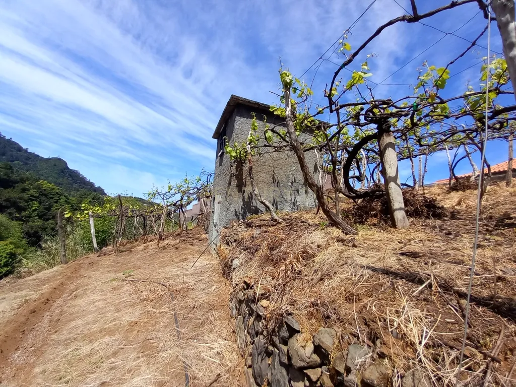 Terreno Rústico com Potencial de Construção, Localizado em Boaventura – São Vicente - Image 11