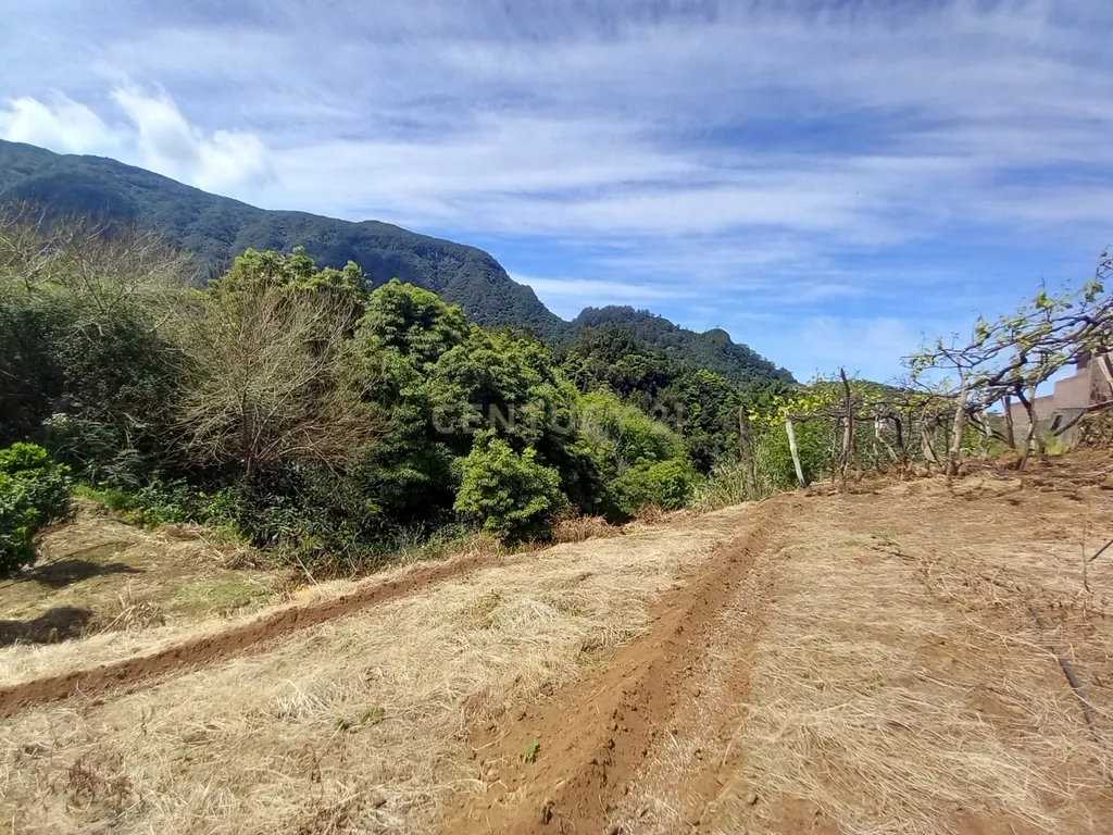 Terreno Rústico com Potencial de Construção, Localizado em Boaventura – São Vicente - Image 14