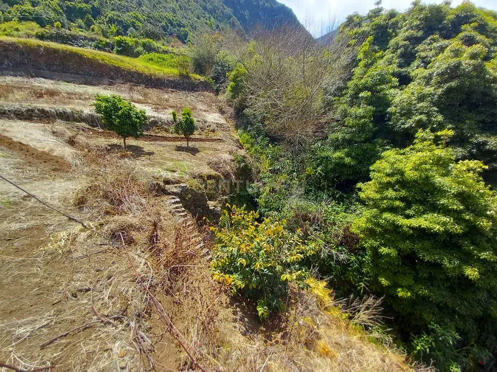 Terreno Rústico com Potencial de Construção, Localizado em Boaventura – São Vicente - Image 15