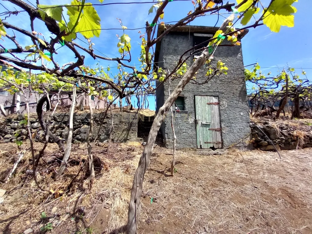 Terreno Rústico com Potencial de Construção, Localizado em Boaventura – São Vicente - Image 8