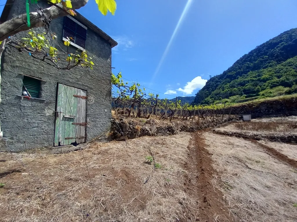 Terreno Rústico com Potencial de Construção, Localizado em Boaventura – São Vicente - Image 9