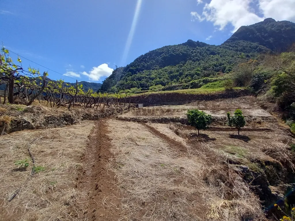 Terreno Rústico com Potencial de Construção, Localizado em Boaventura – São Vicente - Image 21
