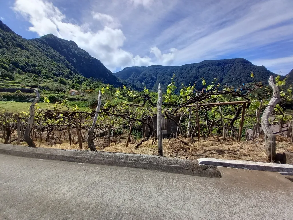 Terreno Rústico com Potencial de Construção, Localizado em Boaventura – São Vicente - Image 22