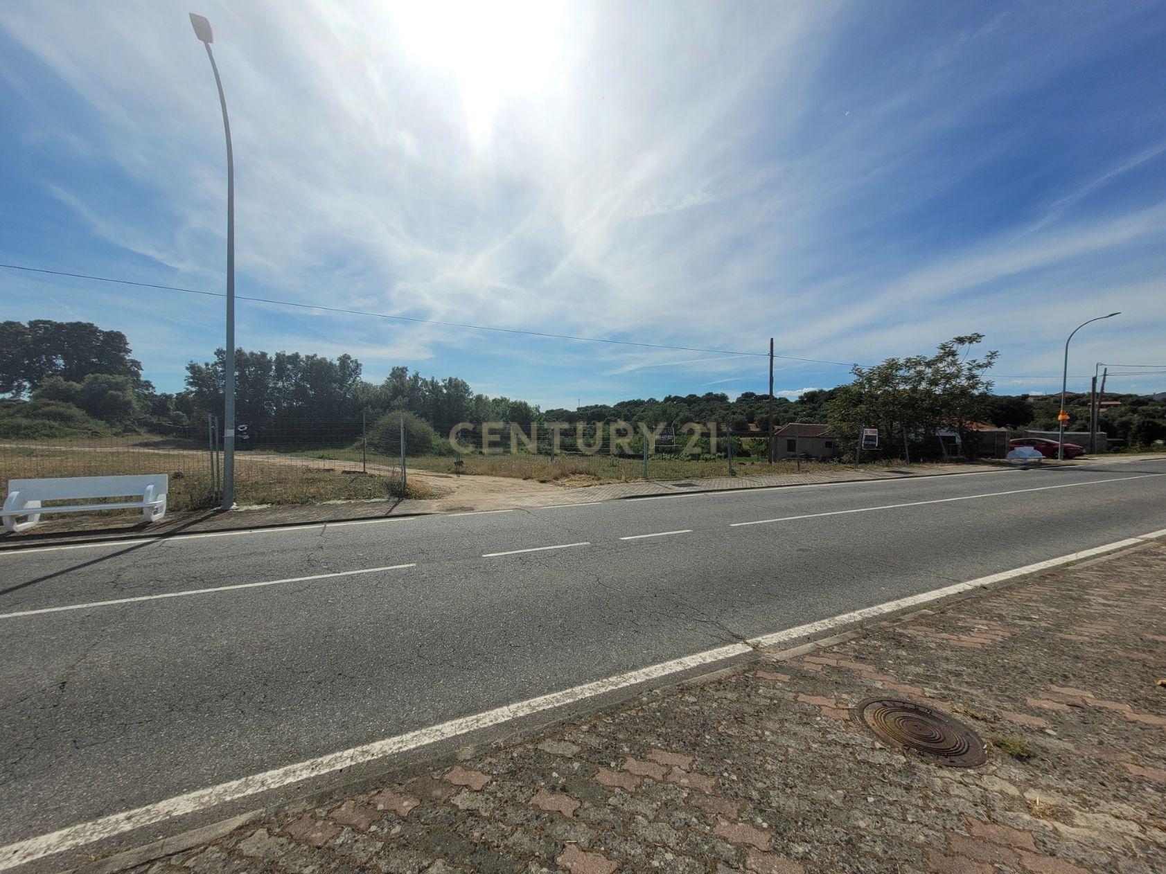 undefined - Image 4