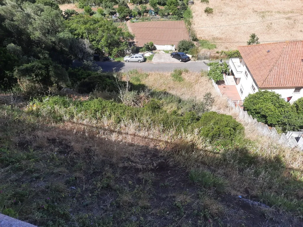 Terreno Urbano em Valejas – Potencial para Projetos Futuros - Image 2
