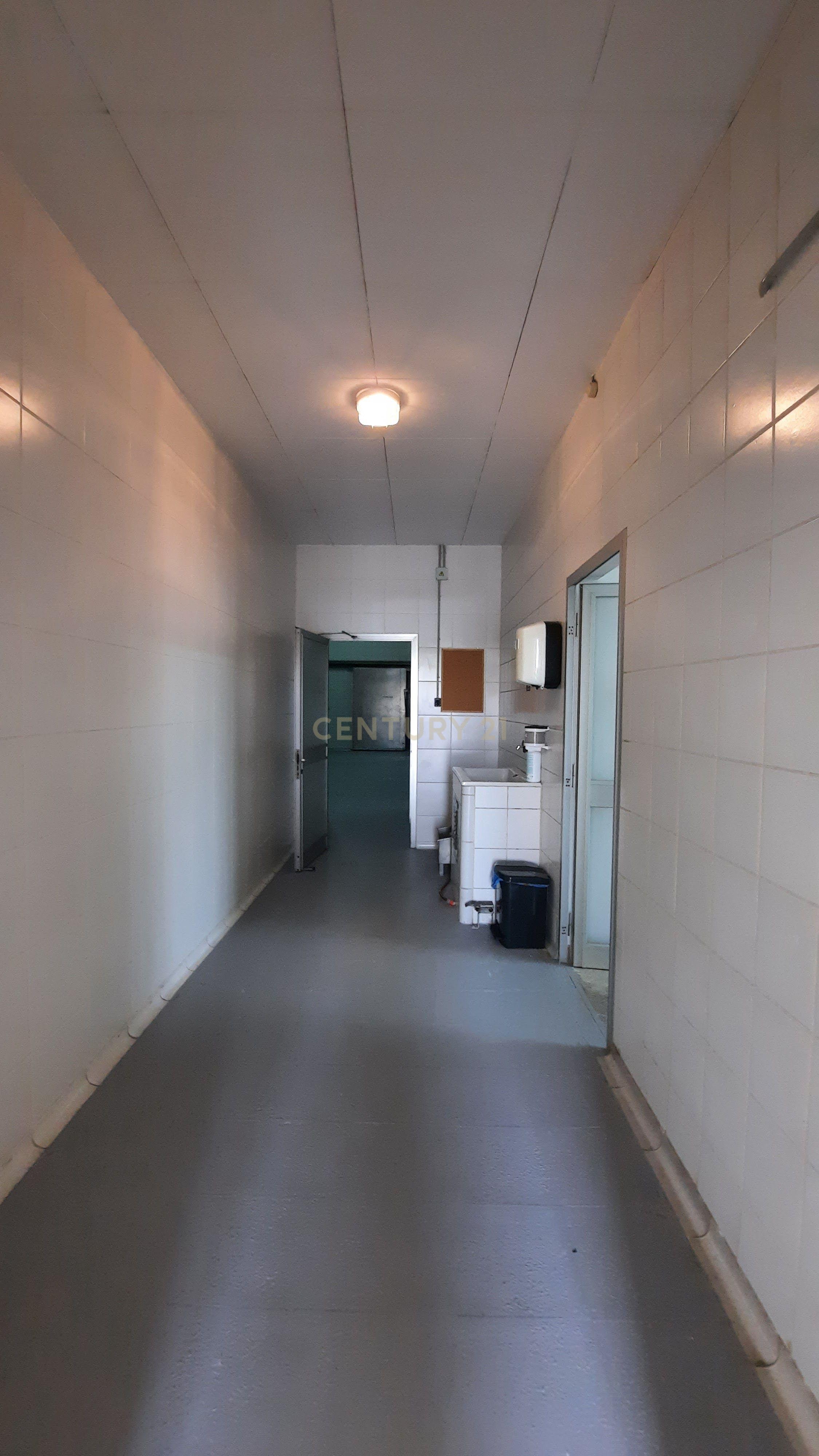 undefined - Image 11