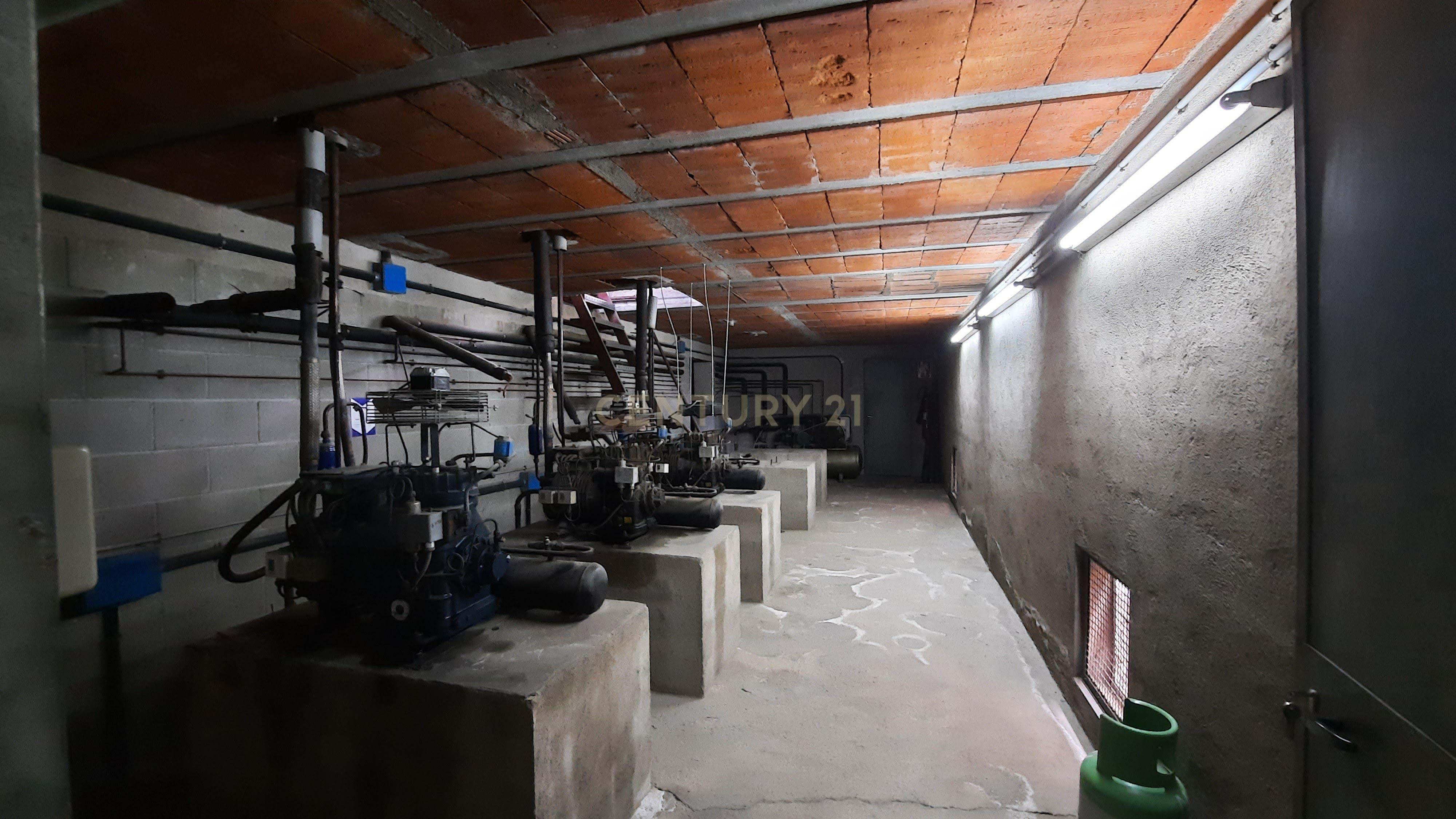 undefined - Image 20