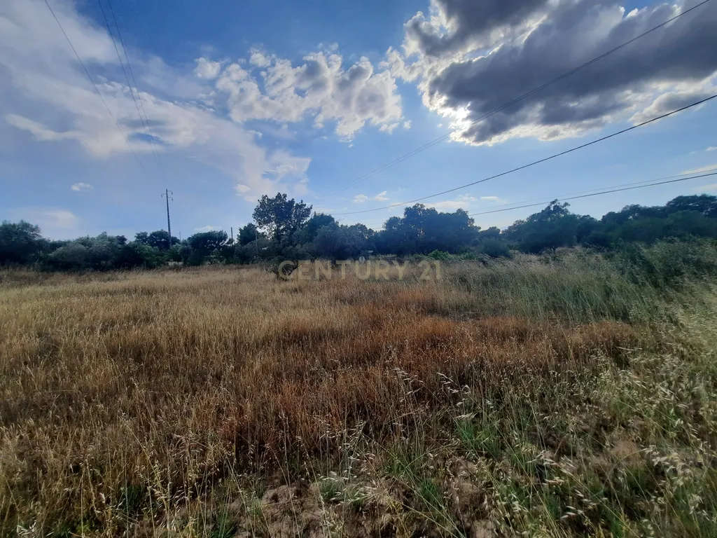 Terreno em São Miguel D Acha - Image 8