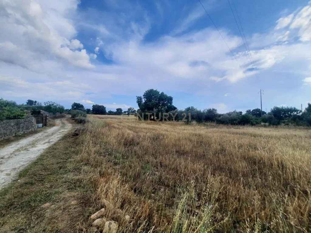 Terreno em São Miguel D Acha - Image 2