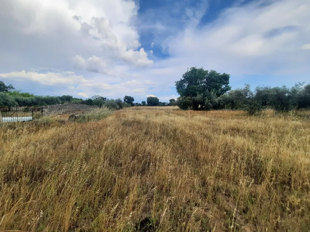 Terreno em São Miguel D Acha - Image 14
