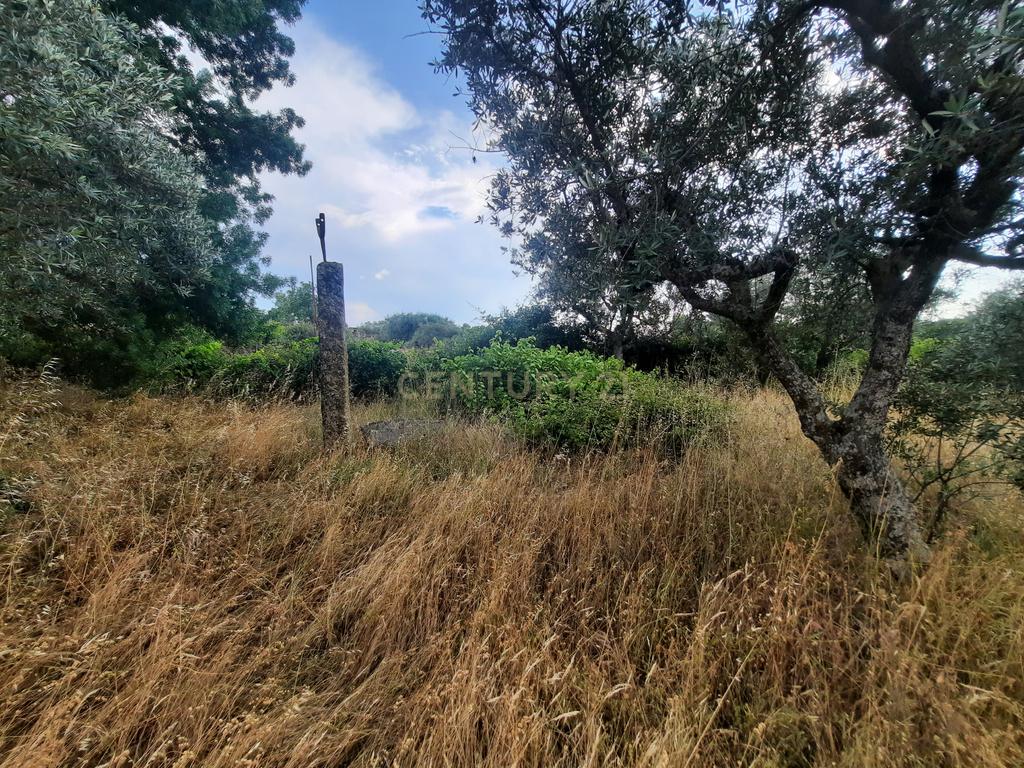 Terreno em São Miguel D Acha - Image 11