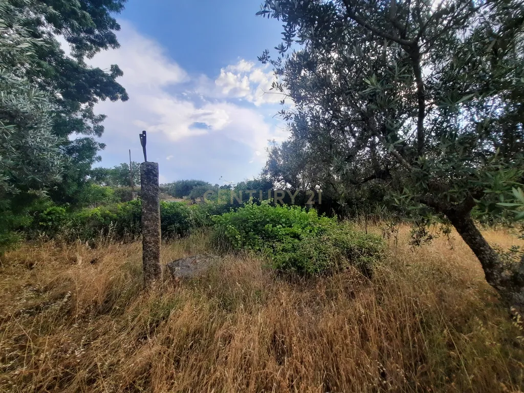 Terreno em São Miguel D Acha - Image 10