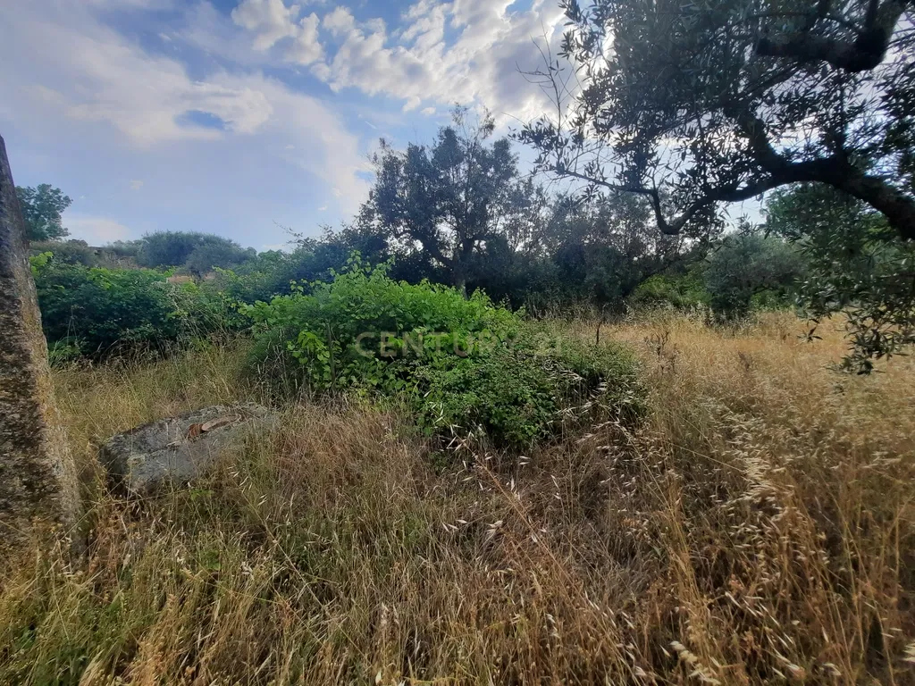 Terreno em São Miguel D Acha - Image 12