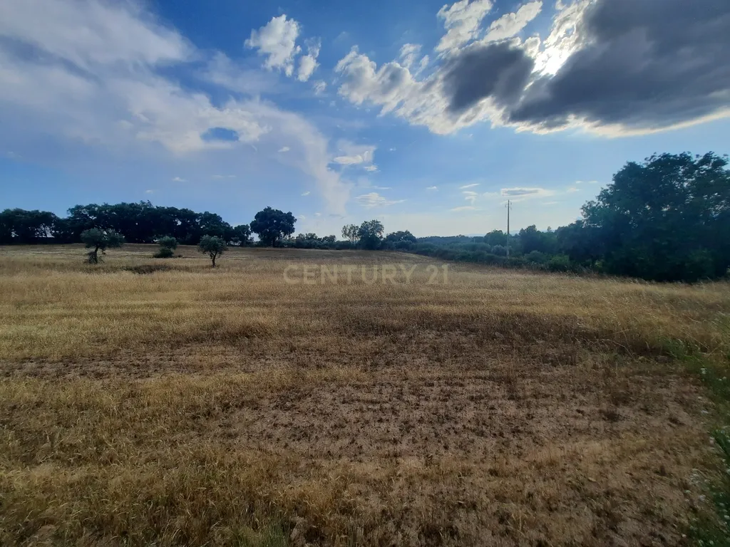 Terreno em São Miguel D Acha - Image 1