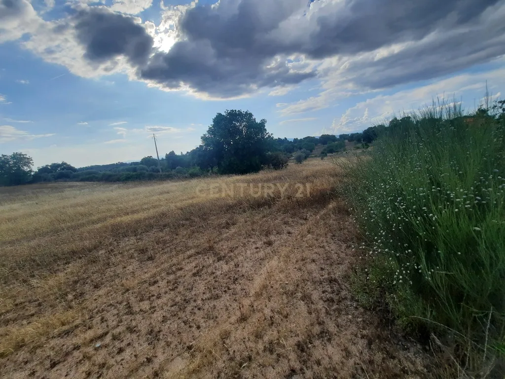 Terreno em São Miguel D Acha - Image 15