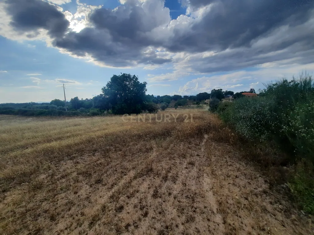 Terreno em São Miguel D Acha - Image 4