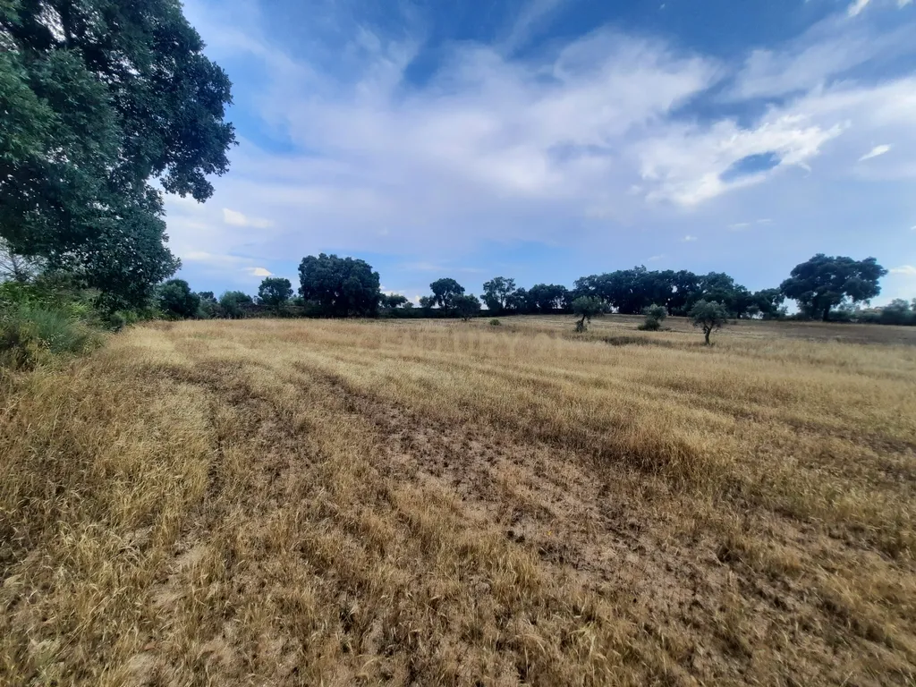 Terreno em São Miguel D Acha - Image 16