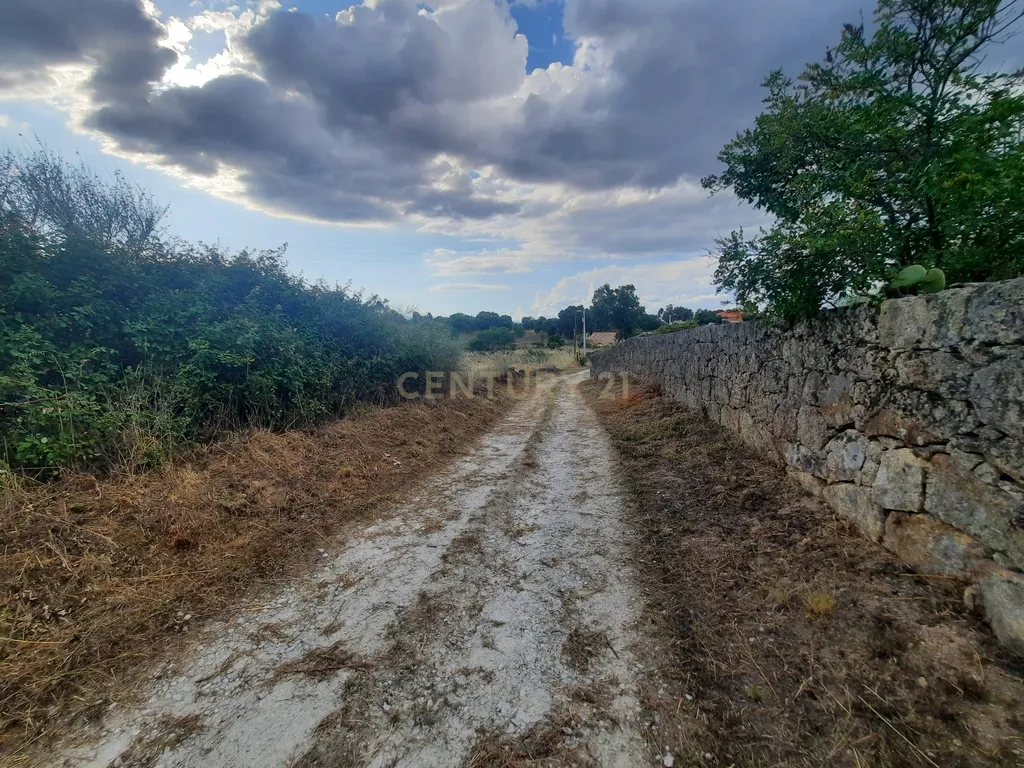 Terreno em São Miguel D Acha - Image 6