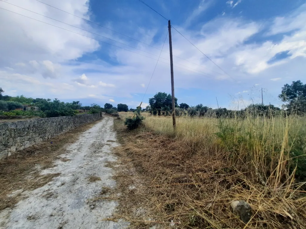 Terreno em São Miguel D Acha - Image 7