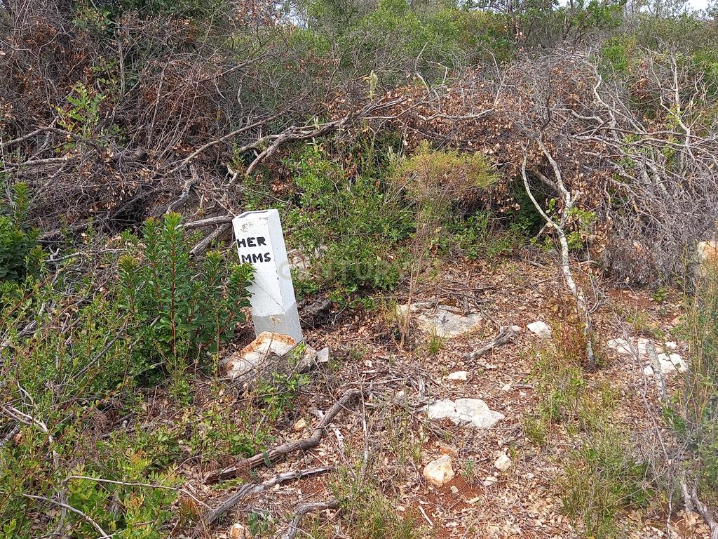 Terreno situado em zona industrial - Image 19