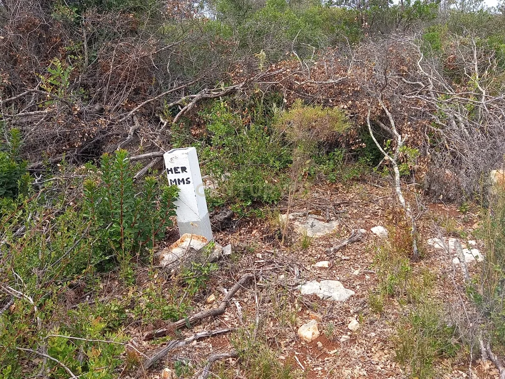 Terreno situado em zona industrial - Image 19