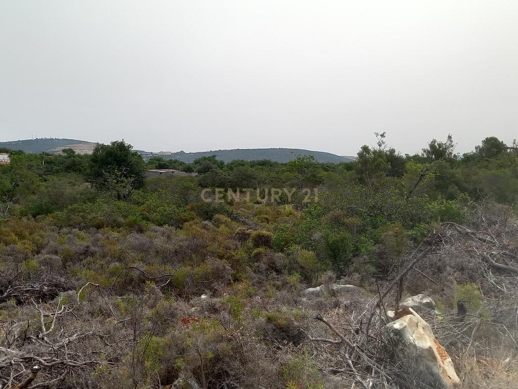 Terreno situado em zona industrial - Image 16