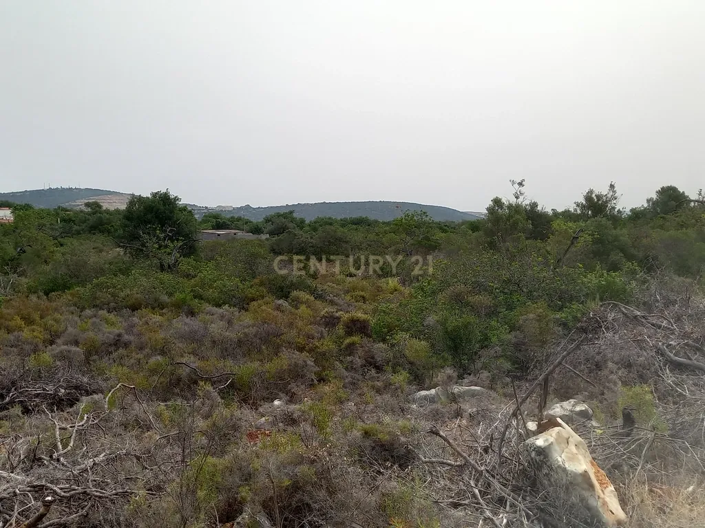 Terreno situado em zona industrial - Image 16