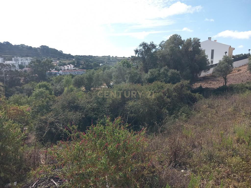Terreno Barcarena - Image 5