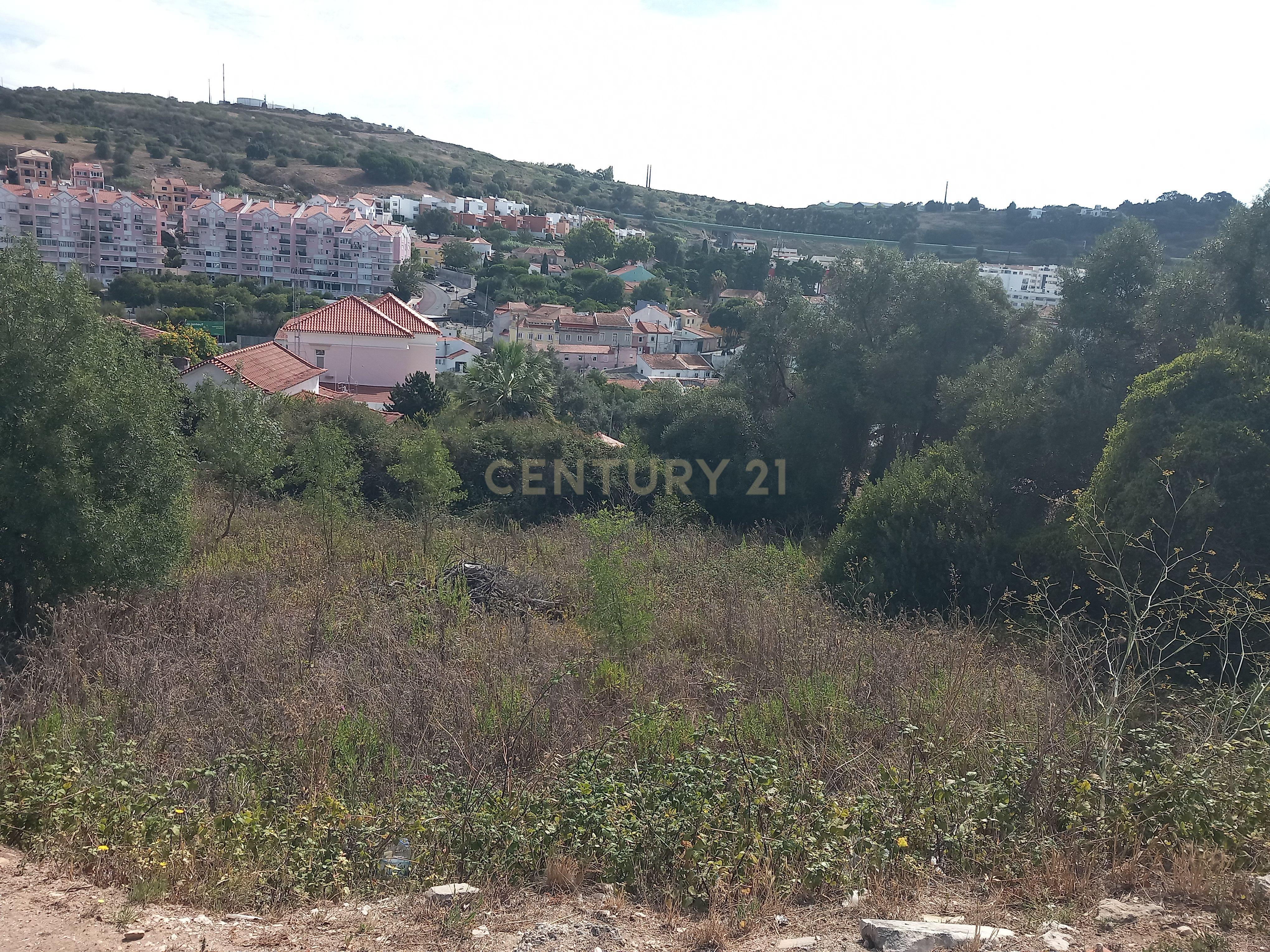 Terreno Barcarena - Image 4