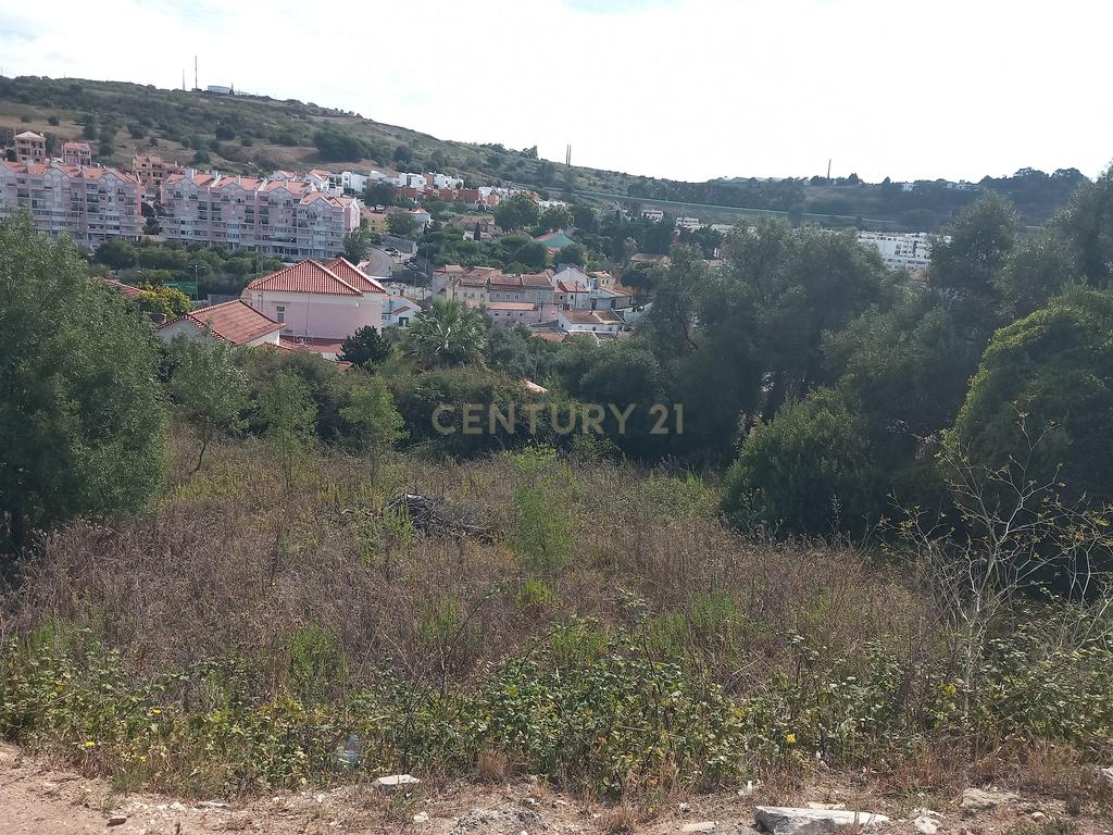 Terreno Barcarena - Image 4