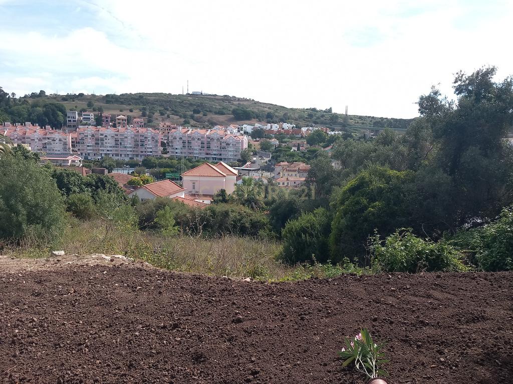 Terreno Barcarena - Image 3