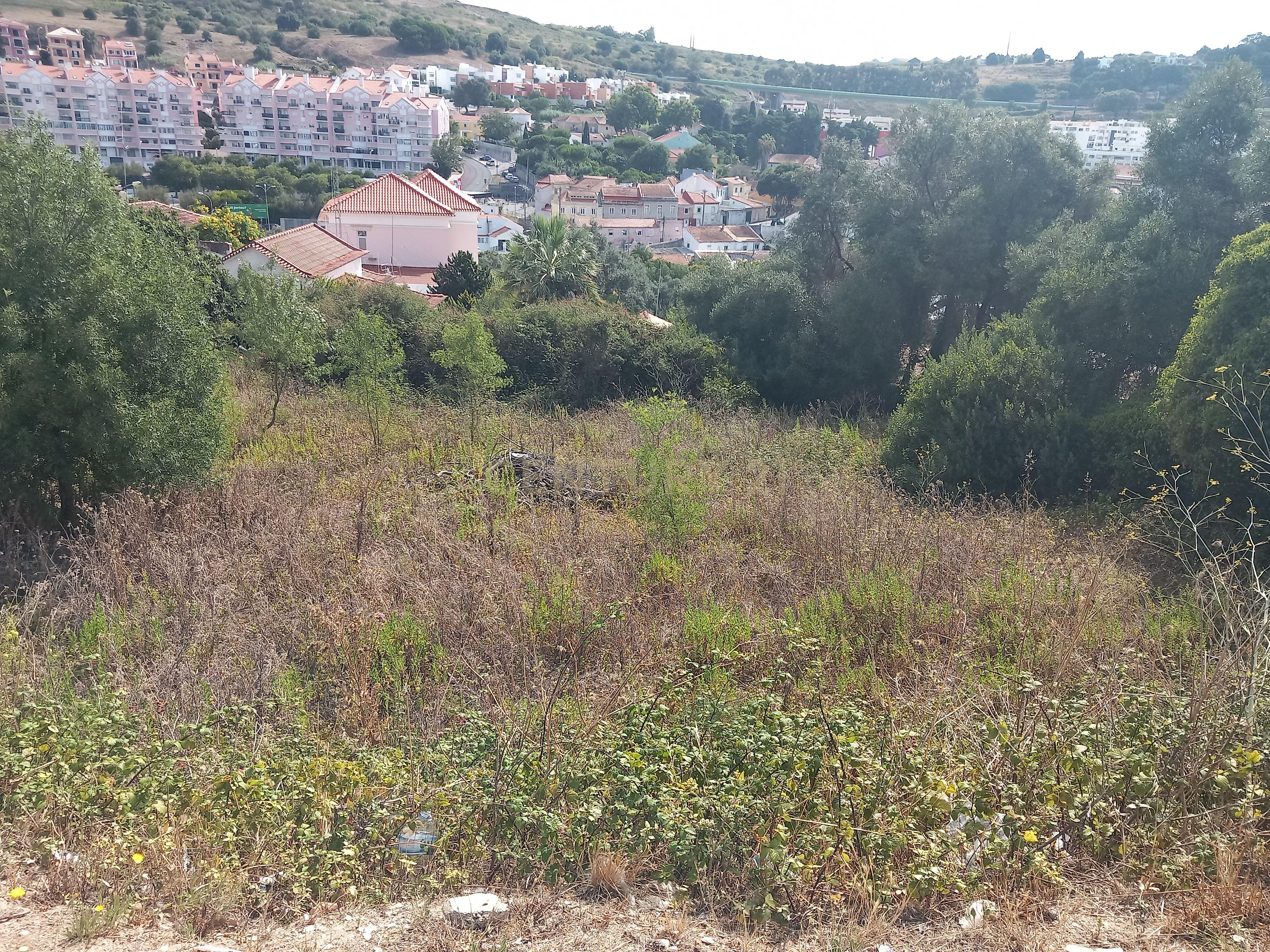 Terreno Barcarena - Image 2