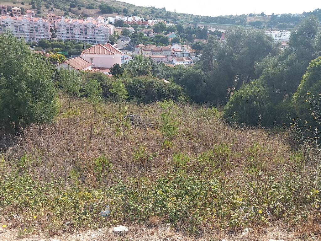 Terreno Barcarena - Image 2