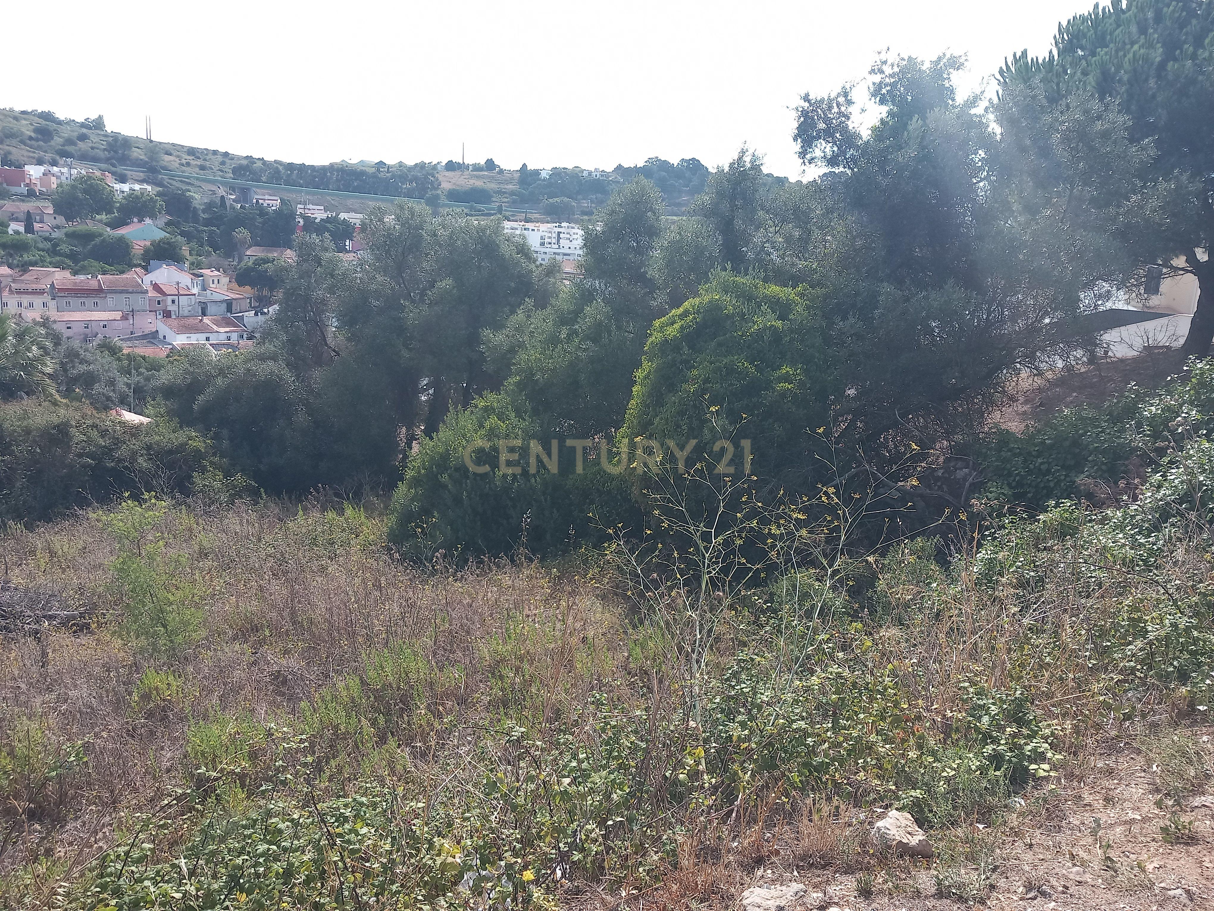 Terreno Barcarena - Image 6