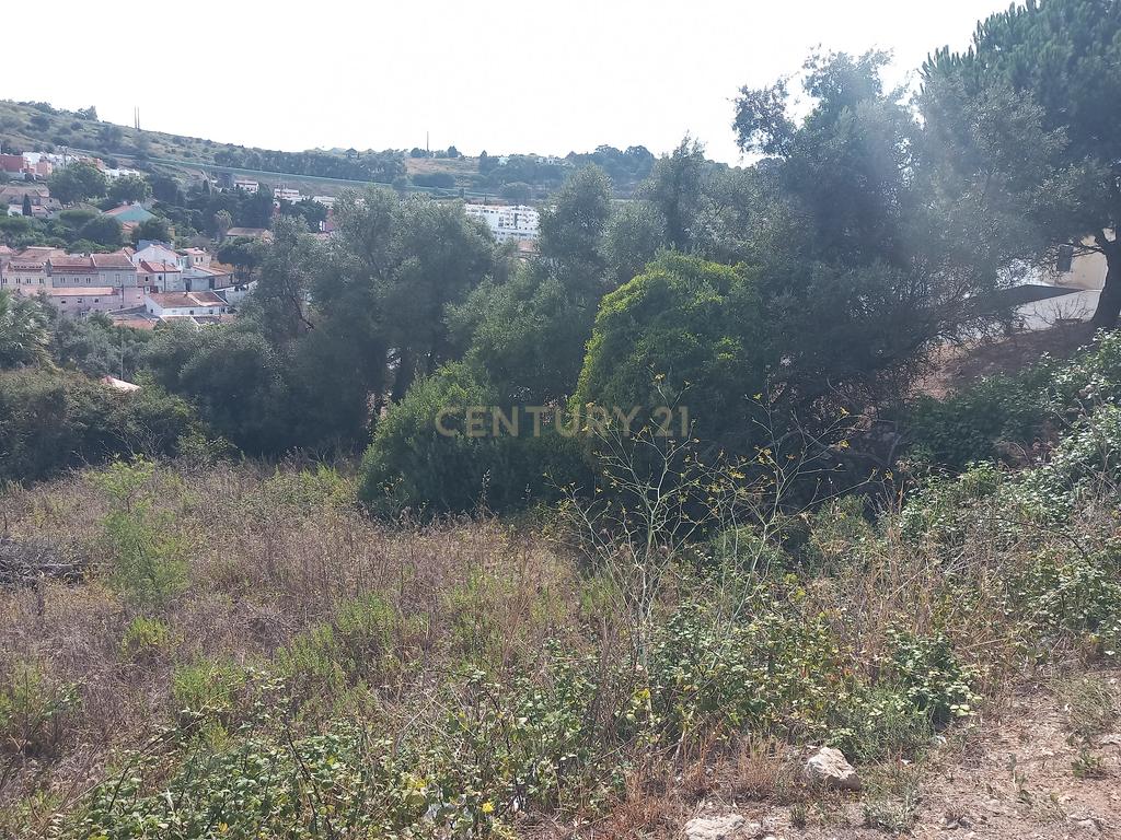 Terreno Barcarena - Image 6